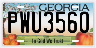 GA license plate PWU3560