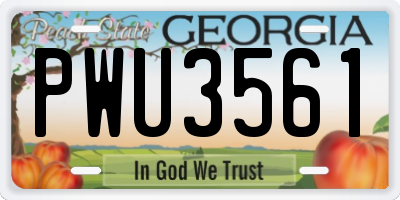 GA license plate PWU3561