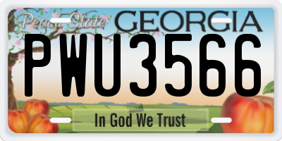 GA license plate PWU3566