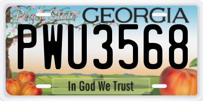 GA license plate PWU3568