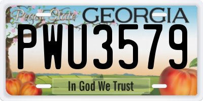 GA license plate PWU3579