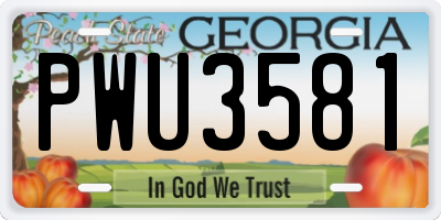GA license plate PWU3581