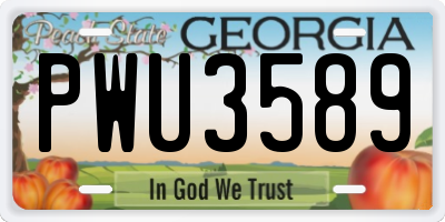 GA license plate PWU3589