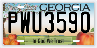 GA license plate PWU3590