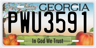 GA license plate PWU3591