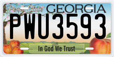 GA license plate PWU3593