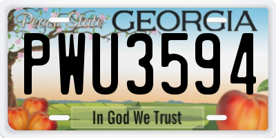 GA license plate PWU3594