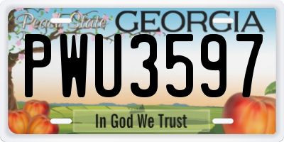 GA license plate PWU3597