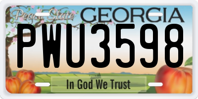 GA license plate PWU3598
