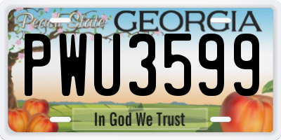 GA license plate PWU3599