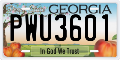 GA license plate PWU3601