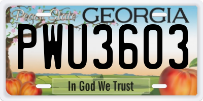 GA license plate PWU3603
