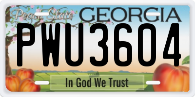 GA license plate PWU3604