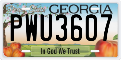 GA license plate PWU3607