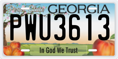 GA license plate PWU3613