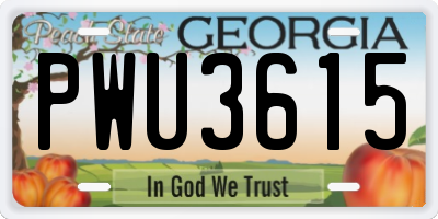 GA license plate PWU3615
