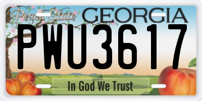 GA license plate PWU3617