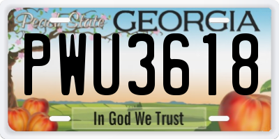 GA license plate PWU3618