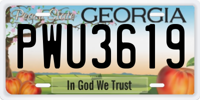 GA license plate PWU3619