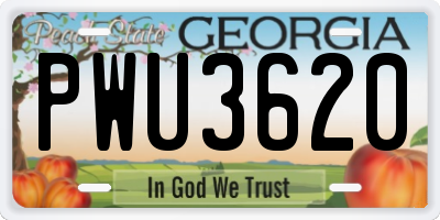GA license plate PWU3620