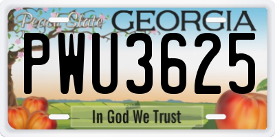 GA license plate PWU3625