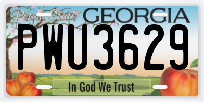 GA license plate PWU3629