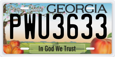 GA license plate PWU3633