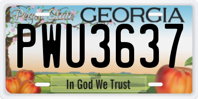 GA license plate PWU3637