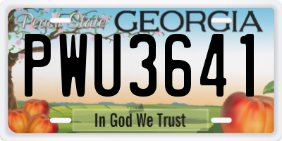 GA license plate PWU3641