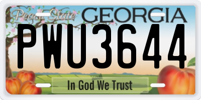 GA license plate PWU3644