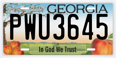 GA license plate PWU3645