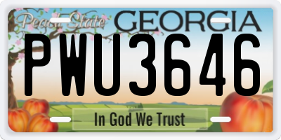 GA license plate PWU3646