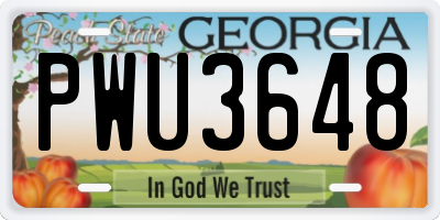 GA license plate PWU3648