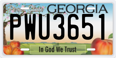 GA license plate PWU3651