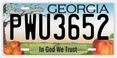 GA license plate PWU3652