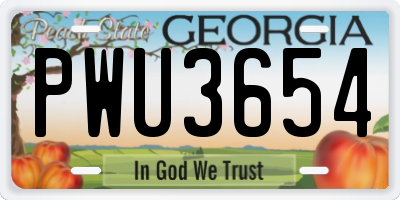GA license plate PWU3654