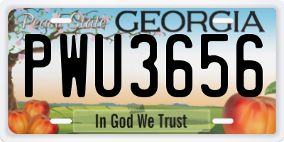 GA license plate PWU3656