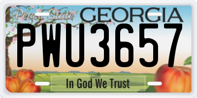 GA license plate PWU3657