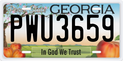 GA license plate PWU3659