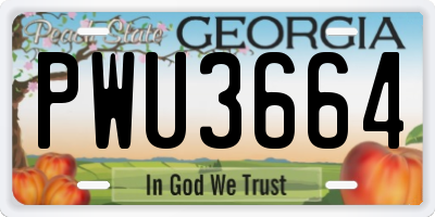 GA license plate PWU3664
