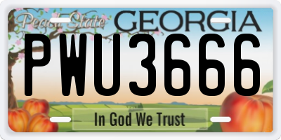 GA license plate PWU3666