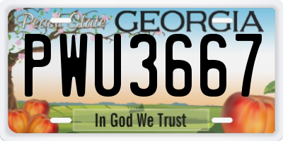 GA license plate PWU3667