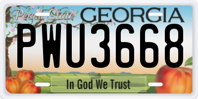GA license plate PWU3668