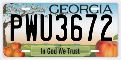 GA license plate PWU3672