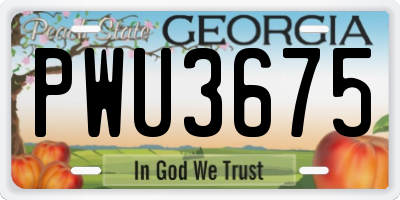 GA license plate PWU3675