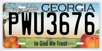 GA license plate PWU3676