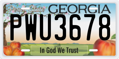 GA license plate PWU3678