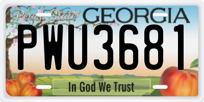 GA license plate PWU3681
