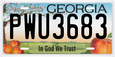 GA license plate PWU3683