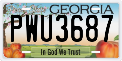 GA license plate PWU3687